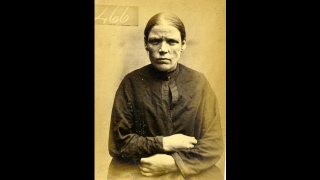 Illustration for article titled A Rogues Gallery of Lady Criminals from the 1870s